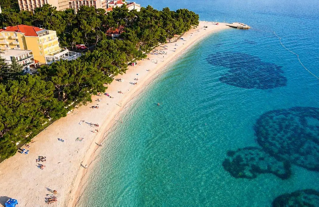 Hotel Villa Bacchus-1